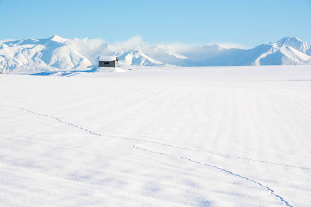 istock Snowfield with wildlife footprints and snow montains 1196620280