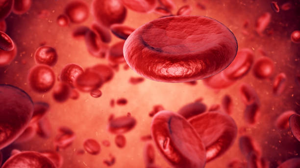 Blood Cells 3d render Blood Cells (depth of field) red blood cell stock pictures, royalty-free photos & images