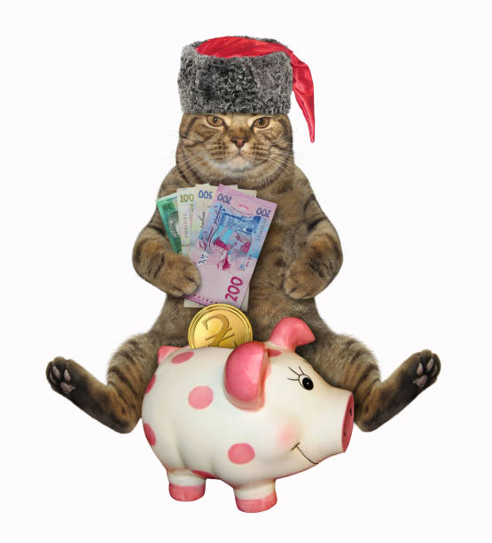 istock Cat cossack with piggy bank 2 1196625515
