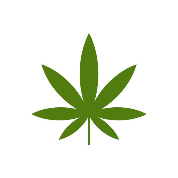 zielony liść marihuany logo logo szablon ilustracja projekt. wektor eps 10. - narcotic medicine symbol marijuana stock illustrations