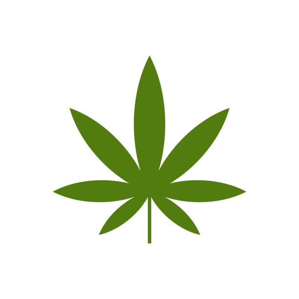 зеленый марихуаны лист логотип шаблон шаблон дизайн. вектор eps 10. - marijuana plant stock illustrations