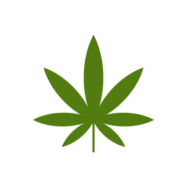 Green Marijuana Leaf Logo Template Illustration Design Vector Eps 10 Stock Illustration - Download Image Now - iStock Green Marijuana Leaf Logo Template Illustration Design Vector Eps 10 Stock Illustration - Download Image Now - iStock