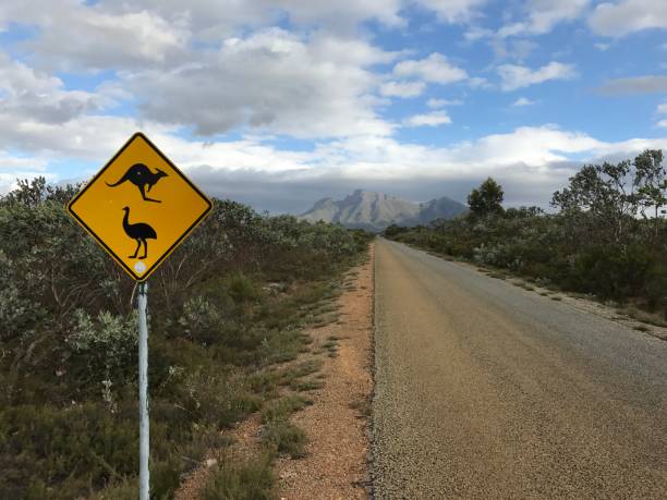 istock Empty road with traffic sign in Australia 1196626637