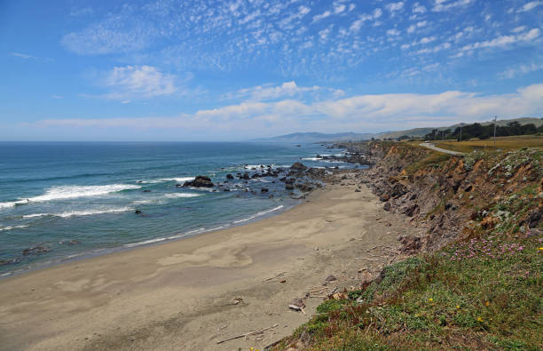 istock View at North Salmon Creek Beach 1196627526