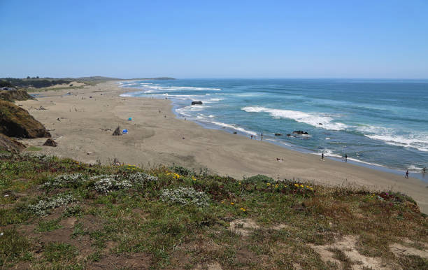 istock Panorama with Salmon Creek beach 1196627618