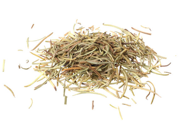 istock dried rosemary isolated on a white background 1196629984