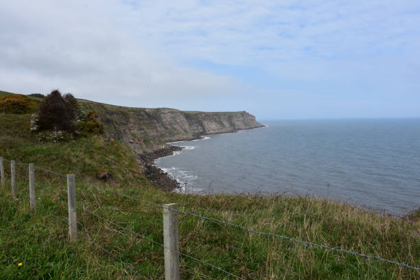 istock Stunning Sea Cliffs Along Robin Hood's Bay in England 1196637623