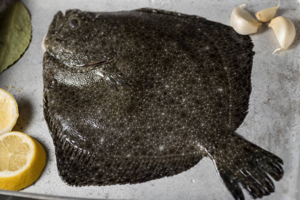 istock Turbot on a baking sheet and oven rack 1196637655