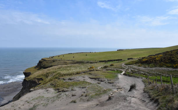 istock Stunning Sea Cliffs Along Robin Hood's Bay in England 1196638103