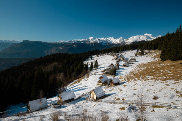 istock Zajamniki, Pokljuka, Slovenia 1196638137