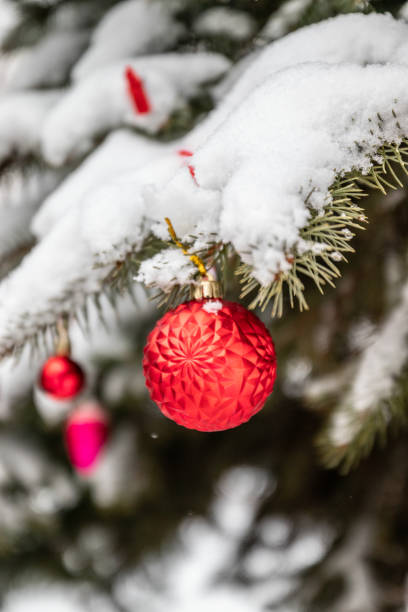 istock Christmas outdoor background with fir tree branches, decorations and blurred lights 1196639797