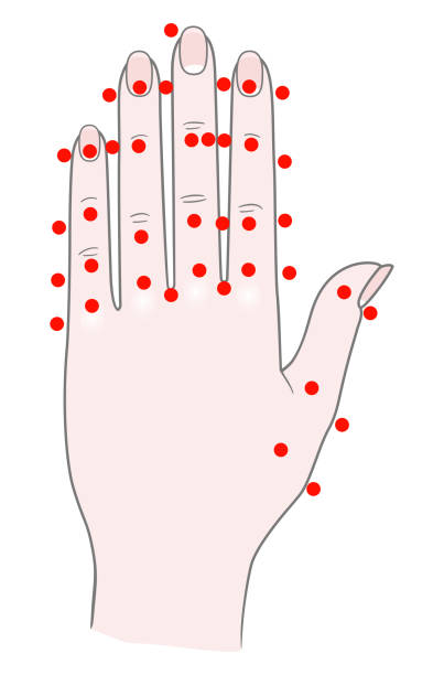 ilustrações de stock, clip art, desenhos animados e ícones de front side of the woman's left hand with dots for acupuncture massage. vector. isolated on white background - massaging human hand massage therapist vector