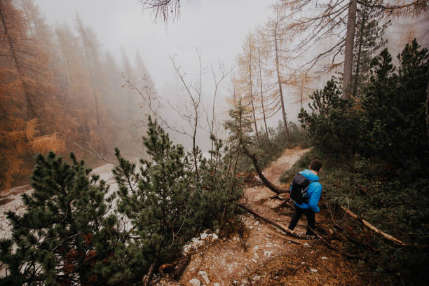 istock Traveling and hiking 1196644720