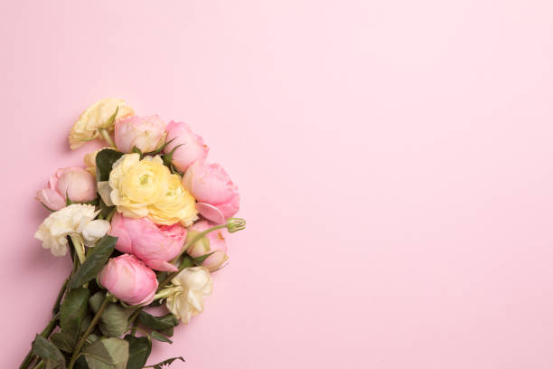 Flowers composition with flowers on pastel pink background. Flat lay, top view, copy space