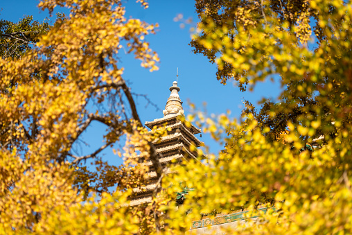 Chinese ancient temple in autumn