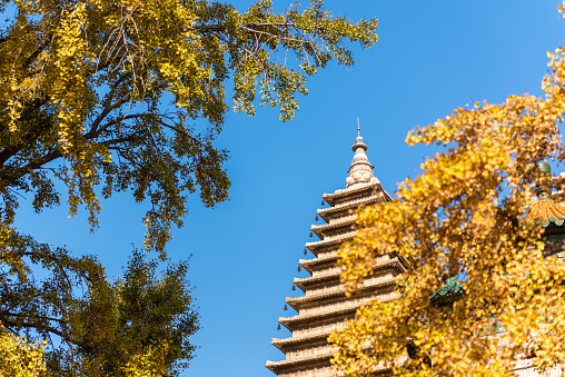 Chinese ancient temple in autumn