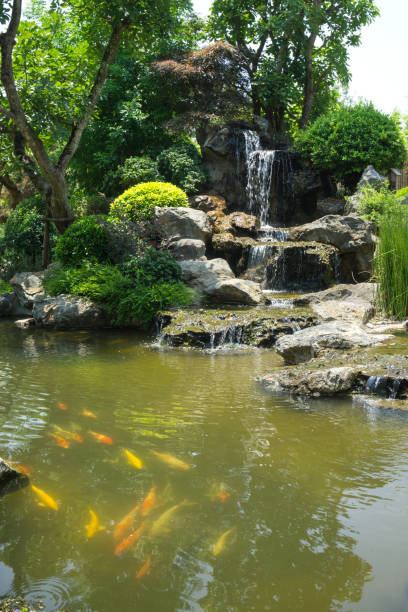 istock Japanese garden style with waterfall 1196659691