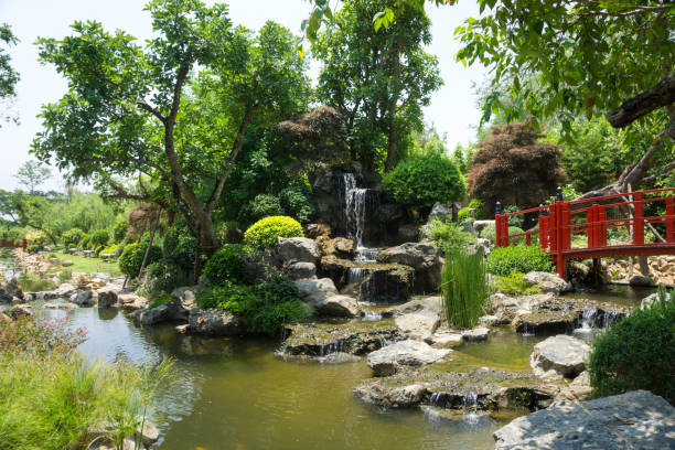 istock Japanese garden style with waterfall 1196659774