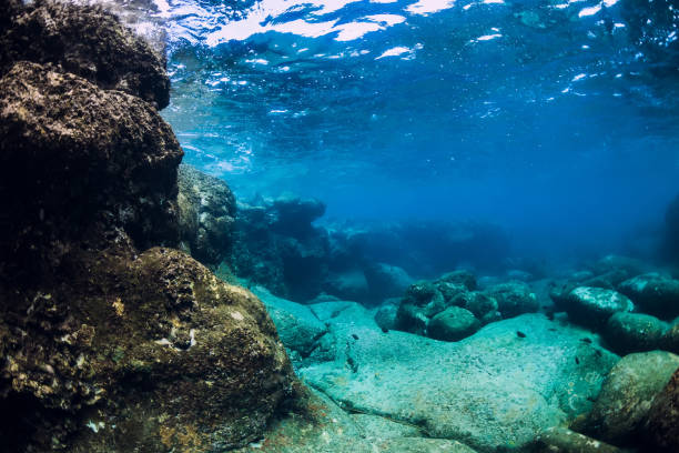 istock Underwater scene with stones bottom. Tropical transparent ocean 1196660685