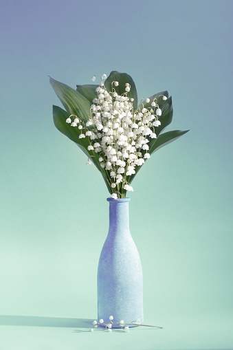 A DSLR photo of Lilies-Of-The-Valley (Convallaria Majalis) - bouquet of forest flowers in a vase on an aquamarine background. Space for copy.