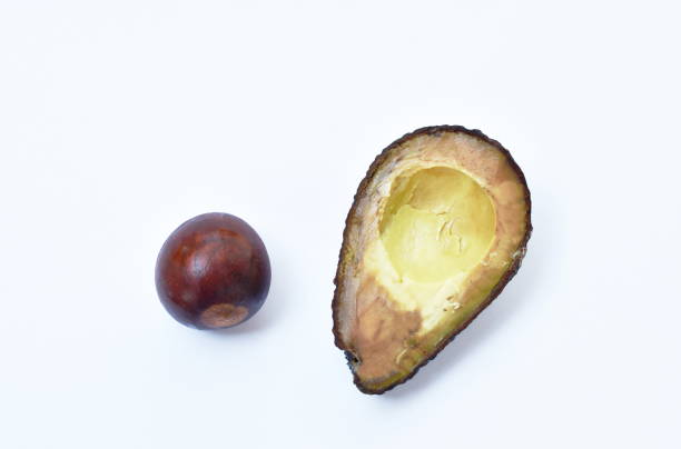 istock fresh ripe avocado half cutting on white background 1196662475