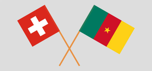 скрещенные флаги камеруна и швейцарии - helvetic confederation stock illustrations