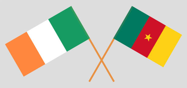 gekreuzte flaggen von kamerun und irland - irish culture republic of ireland irish flag sport stock-grafiken, -clipart, -cartoons und -symbole