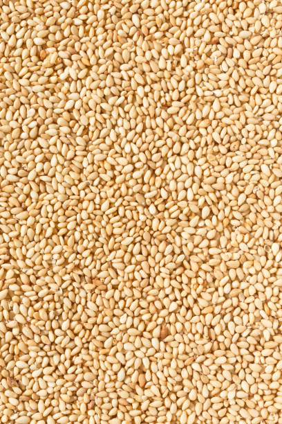 istock toasted sesame seeds 1196666713