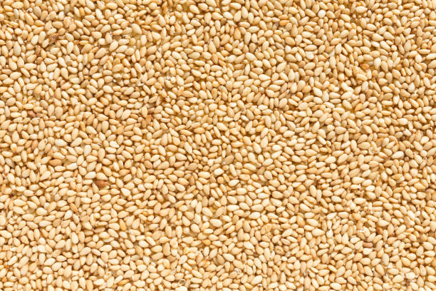 istock toasted sesame seeds 1196666757