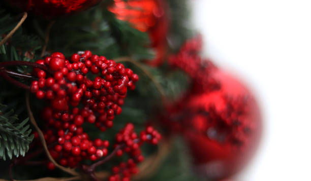 istock Christmas background. Red berries on the green tree. White background, copy space 1196667697