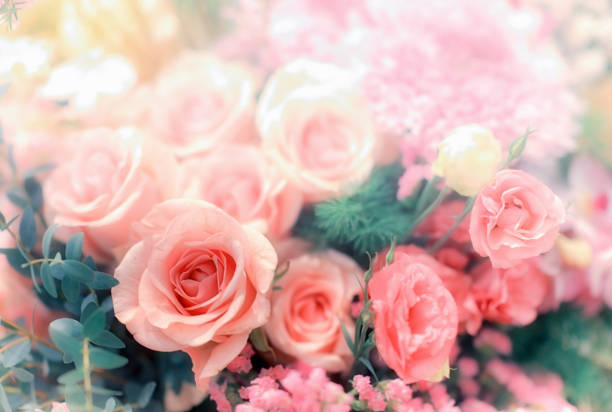 istock Soft color Roses Background Retro filter. 1196674644