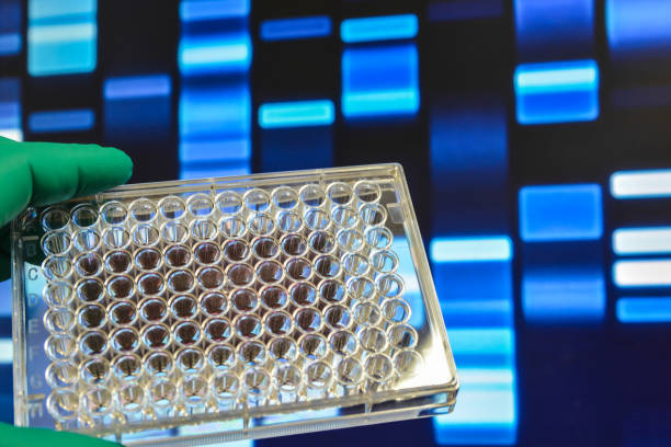 istock Modern scientific research methods in biology. 1196676730