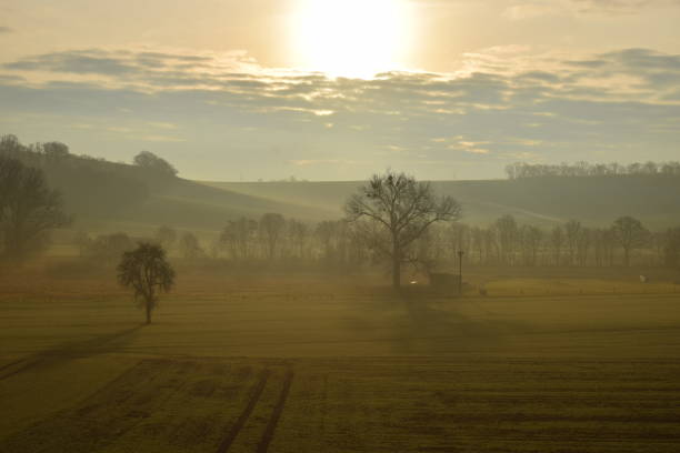istock cold winter sunrise in green hills 1196677924