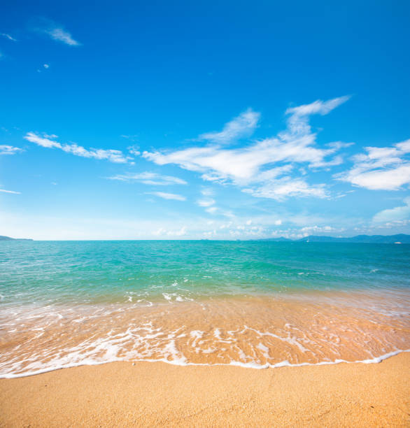 istock beautiful sandy beach and tropical sea 1196677925