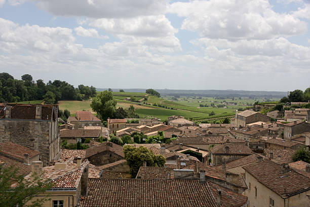 istock Vineyard and Fields of St. Emilion with Town in Foreground 119667793