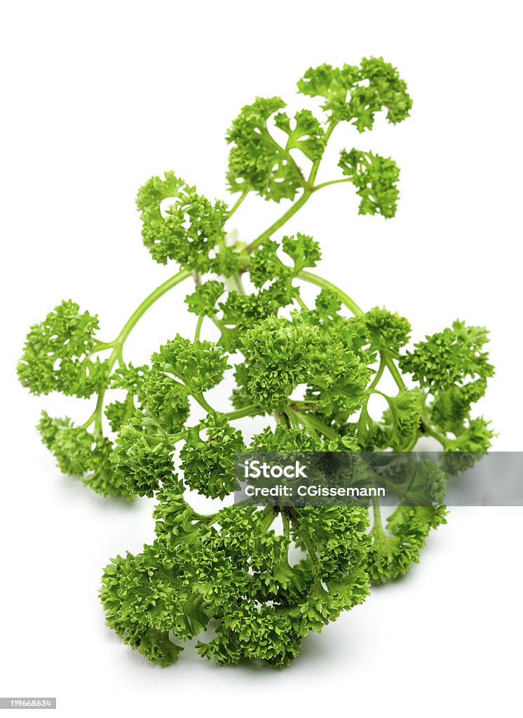 parsley  Close-up Stock Photo