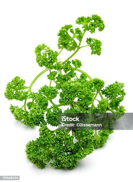 Parsley Stock Photo - Download Image Now - Close-up, Color Image, Cut Out