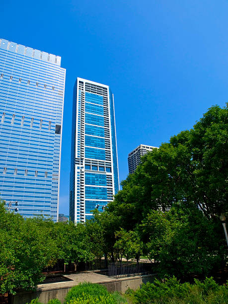 istock Butler Field, Chicago 119668803