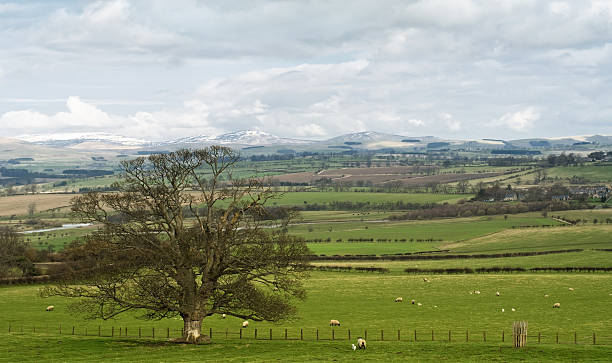 English Countryside stock photo