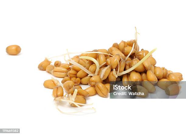 Wheat Germs Isolated On White Background Stock Photo - Download Image Now - Bran, Cereal Plant, Color Image