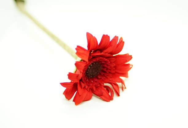 istock Home decor. Red plastic flower isolated on white background 1196695458