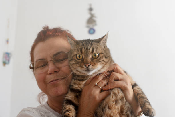 istock hugging a cat with kindness and love. 1196697386