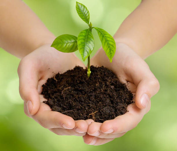 istock Hands holding young green plant on blurred green background. Save Earth concept. 1196697755