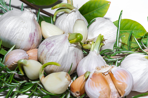 A close-up of freshly grown garlic in a market in a town in the south of France. It is local produce farmed and gown locally.