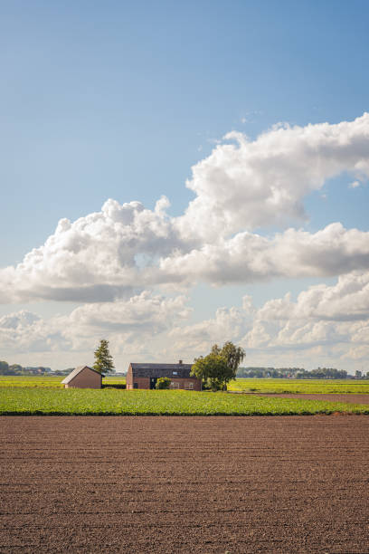 ферма с сараем посреди полей - polder autumn dirt field стоковые фото и изображения