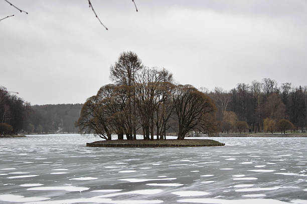 istock a small island with trees in an ice covered pond 1196701268
