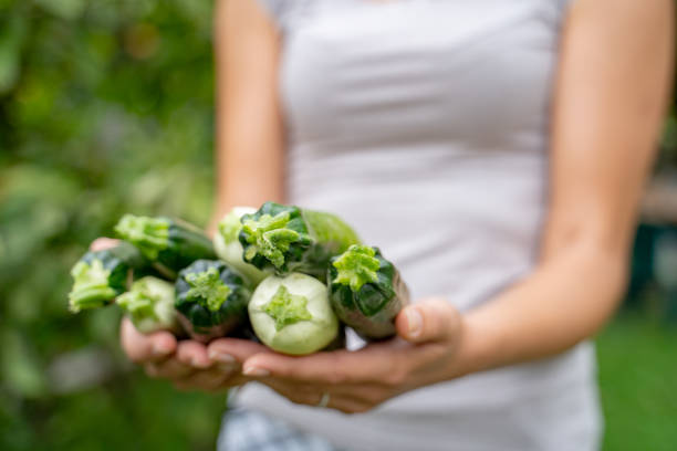 Woman holding fresh zucchini in her hands