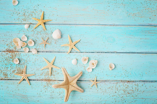 istock summer seashells on wooden background 1196703666