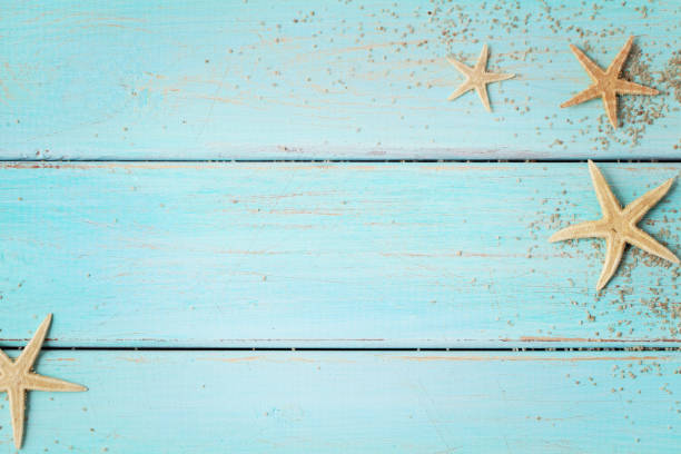 istock summer seashells on wooden background 1196703696
