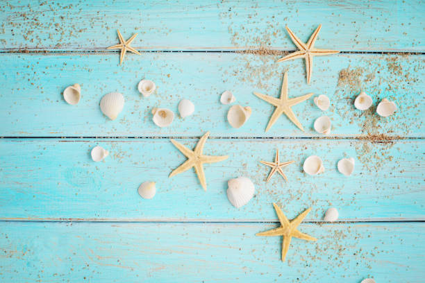 istock summer seashells on wooden background 1196704228